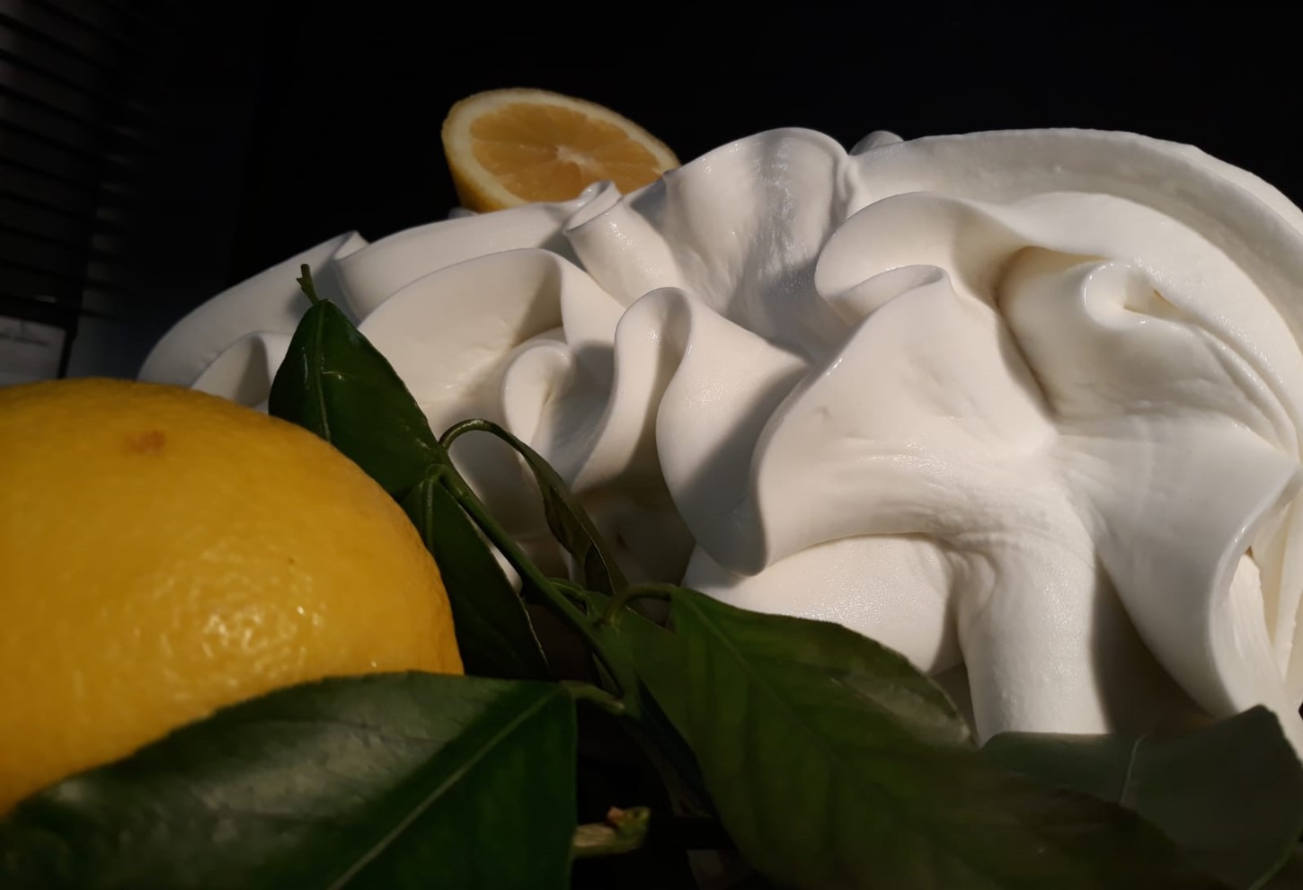 gelati vegani - sorbetti di frutta limone