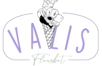 Valis_logo_NObackground_RGB (002)